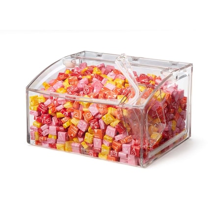 Rosseto 2.1 gal Clear Scoop Bin with Scoop SA129